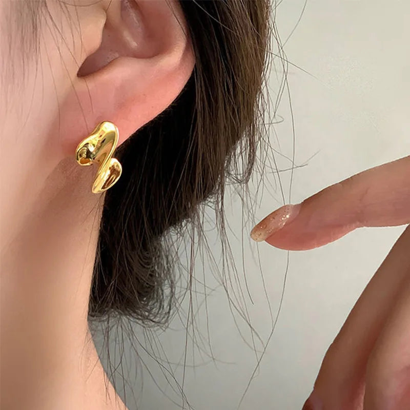 Foxanry Irregular Twist Geometric Stud Earrings